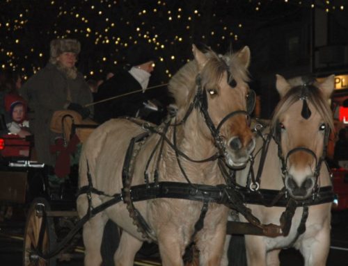 Ridgefield Holiday Stroll Horse and Carriage Rides Friday Night Only