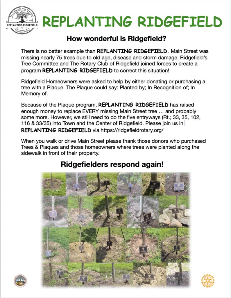 Image 8-29-25 at 11.59 AM